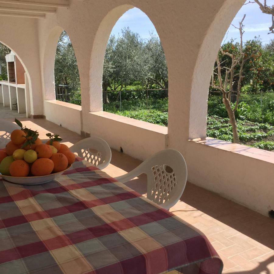 El Cortijo De La Abuela Pensionat Benahadux Eksteriør billede