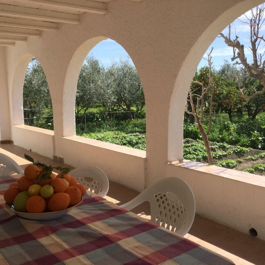 El Cortijo De La Abuela Pensionat Benahadux Eksteriør billede